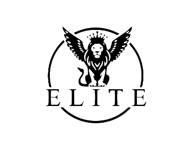 FlyElite_png